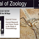 Illustration for article titled Read the Journal of Zoologys Special Paleobehavior Issue Free!